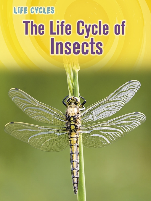 Title details for The Life Cycle of Insects by Susan H. Gray - Available